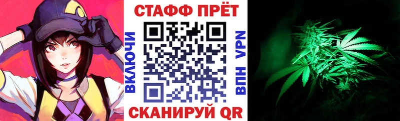 Виды наркотиков купить Губаха Гашиш Кокаин Меф А ПВП Каннабис