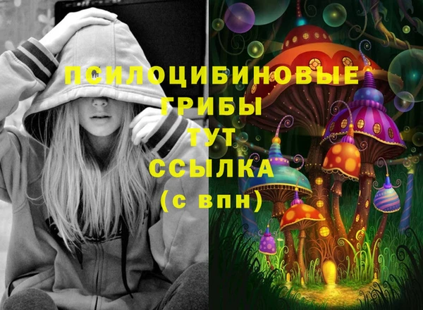 спиды Бронницы