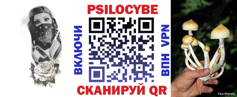 Галлюциногенные грибы мухоморы  хочу наркоту  Губаха 